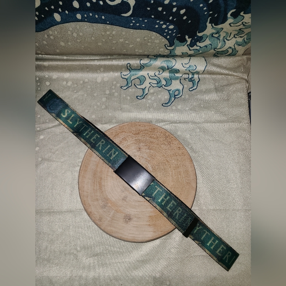 Buckle Down Harry Potter Slytherin Web Belt